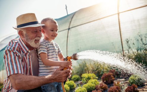 Grandfather with his grandson working in the garden,watering salads.