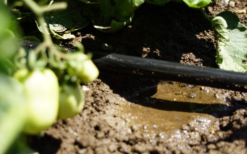 Closeup flat drip pipe