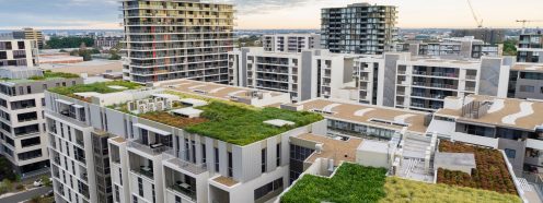 View of green roof on modern buildings in Sydney, Australia
