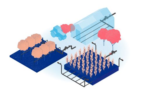 Drip Irrigation Setup infographic