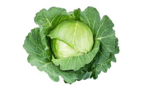 Cabbage