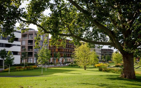 Residential buildings surrounded by trees | Pipelife