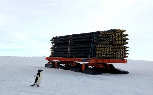 A penguin walking past a sledge with Isovarm pipes in Troll, Antarctica | Pipelife
