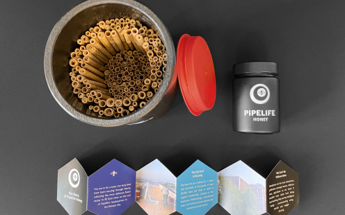 The contents of a Pipelife bee hotel | Pipelife