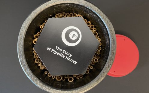Pipelife honey packaging serves as a bee hotel | Pipelife