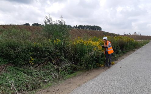 Baseline biodiversity monitoring taking place at Pipelife's plant in Enkhuizen, the Netherlands. Repeated monitoring will be carried out at all production sites three times per year | Pipelife