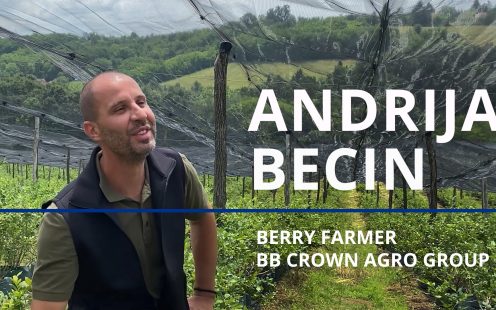 Interview with the blueberry producer Andrija Becin.