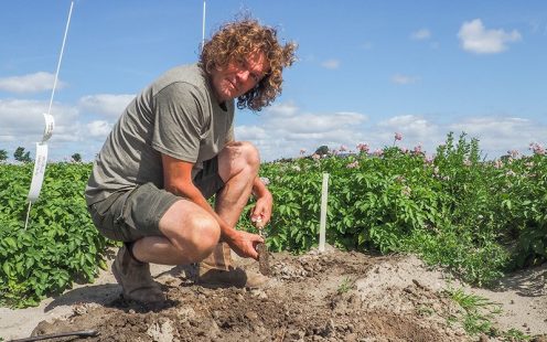 Klaas Schenk at his field with blooming seed potato plants at the background | Pipelife