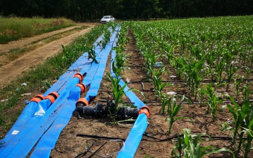 Pipelife's automated precision irrigation system was installed at IF Troanca in May, 2023.