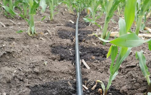 Precision irrigation