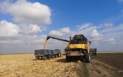 Farming harvest in Romania