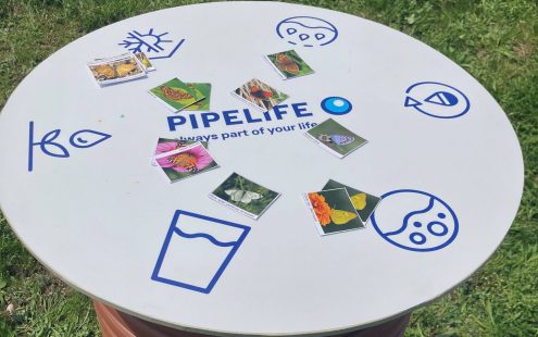A white round desk with Pipelife logo and several photos of common butterfly species on it | Pipelife