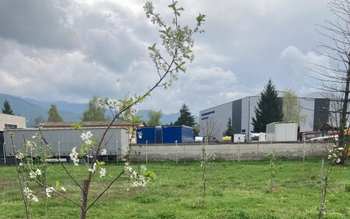 Several young blooming apple trees growing next to Pipelife Bulgaria's plant in Botevgrad | Pipelife