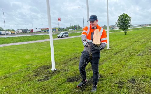 Wildflowers were reintroduced to Pipelife Estonia's front lawn last year | Pipelife