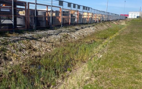 A nearby drainage ditch was cleaned this year to make it more attractive to local amphibian species | Pipelife