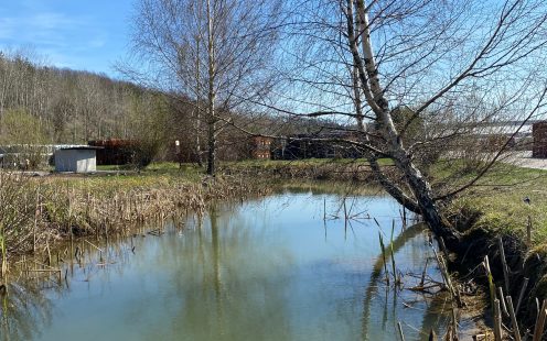 Biodiversity pond  | Pipelife