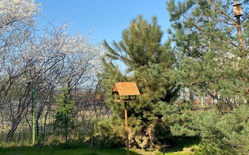 Bird house | Pipelife