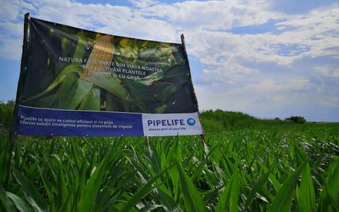 A signpostinforming about Pipelife's field trial set up at the corn field in Dumbrava | Pipelife