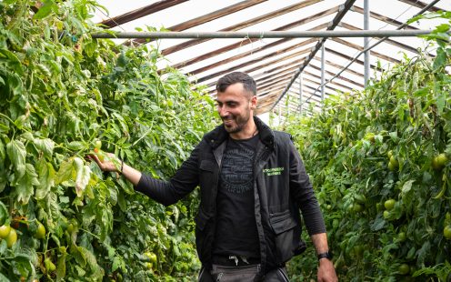 Cretan farmer in the greenhouse | Pipelife