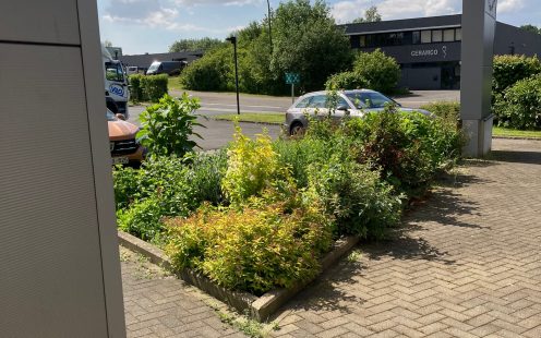 A large variety of shrubs and flowers has been planted at Pipelife Belgium's production site in Seneffe.