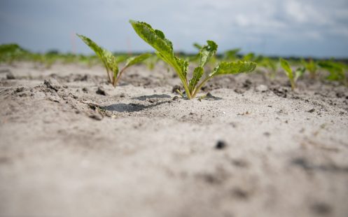 The first closed drainage system was installed in Klaas Schenk's farm in March 2022. 