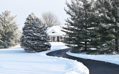 Winter, snowy view of the house behind trees