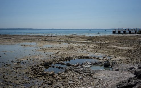 How holistic stormwater management solutions can relieve water scarcity, mitigate flood risks and preserve biological diversity while ensuring long-term economic benefits.