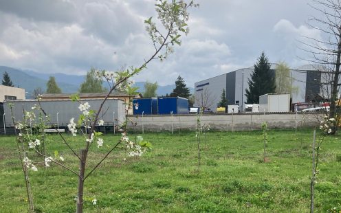 Several young blooming apple trees growing next to Pipelife Bulgaria's plant in Botevgrad | Pipelife