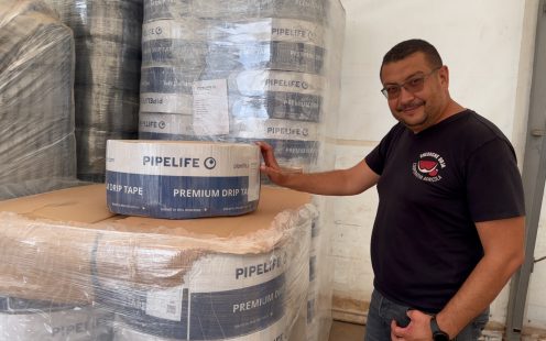 Leading watermelon producers and wholesalers in Ialomita County, Romania