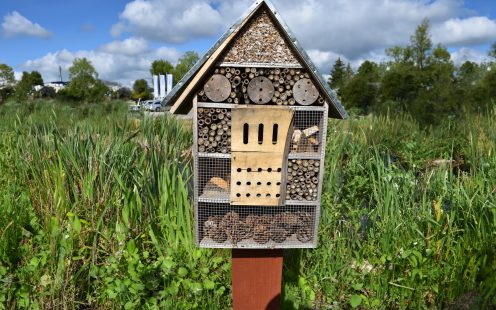 Biodiversity Growth in Kartoszyno