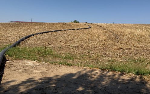 Sprinkler vs. Drip Irrigation for Corn Farming: A Case Study