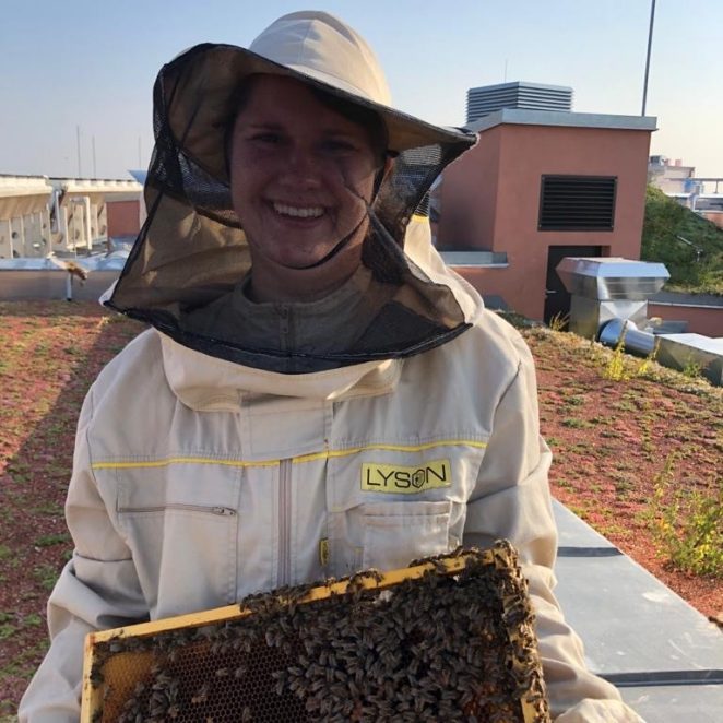 Pipelife hobby bee keeper holds up beehive tray